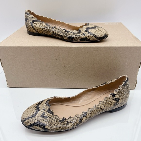 Chloe Lauren Scalloped Ballet Shoes Flats Dark Greige Snakeskin Leather US 35.5
